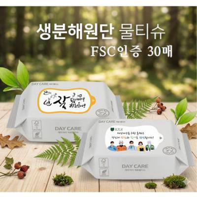 생분해제로 물티슈30매